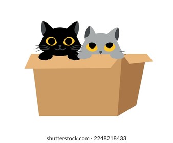Black cat with box. Black and gray kittens look out of box. Graphic element for print on fabric. Playful cats, hide and seek. Comfort and coziness, love for animals. Cartoon flat vector illustration