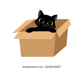 Gato negro con caja. Gatito con grandes ojos amarillos se ve fuera de la caja. Emociones y expresiones faciales. Pegatina para redes sociales y mensajeros. Atención y apoyo. Dibujo vectorial plano de dibujos animados