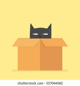 Black cat in box. Mystery box concept image