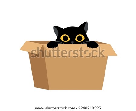 Black cat with box. Sticker for social networks and instant messengers., charming character. Mascot or toy for children. Metaphor of hide and seek and curiosity. Cartoon flat vector illustration