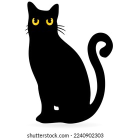 Black cat with brown eyes