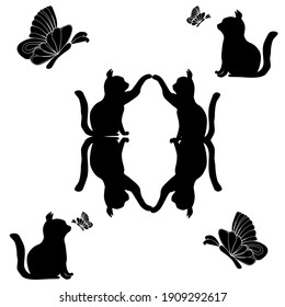 Black cat and butterflies on white background  for background and texture concept 