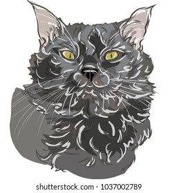 black cat Can be used for wallpaper, pattern fills, textile, web page background, surface textures, Image for advertising booklets, banners.