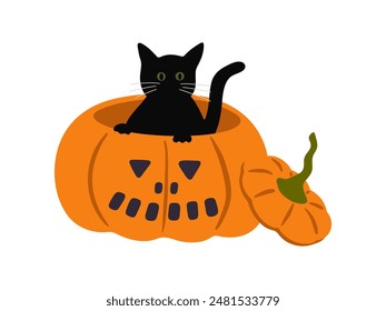 Black cat in carved pumpkin vector illustration. Hand drawn cute and spooky Halloween design for seasonal October 31 cards, print, holiday decoration. Autumn Jack-o-lantern and witch cat