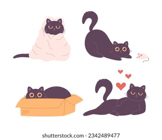 Black cat characters playing, sleeping, sitting in box, falling in love. Domestic cat, feline activities. Vector illustration in flat style