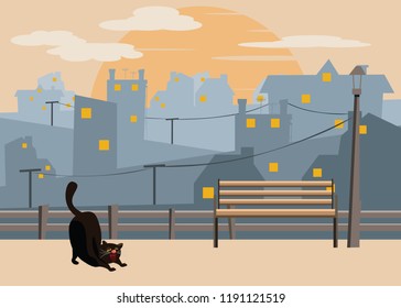 black cat in city vector illustration 