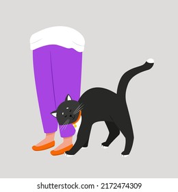 A black cat with a collar caresses the owner's feet. Homemade black and white pet. Vector illustration.