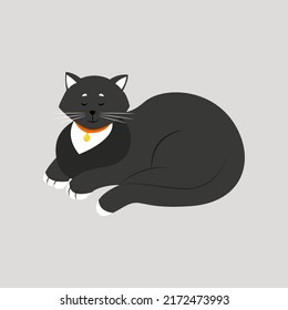 A black cat with a collar is dozing with its paws folded under it. Pet black and white. Vector illustration.