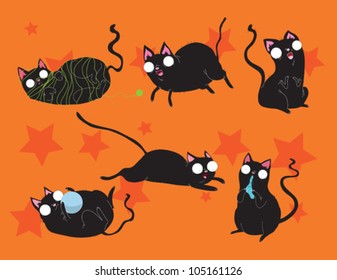 Black Cat Collection
