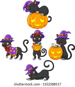 Black Cat collection with pumpkin