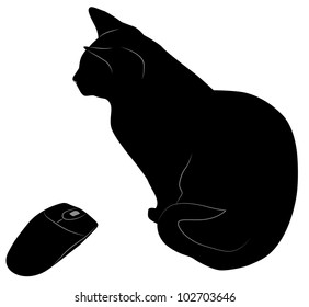black cat and computer mouse