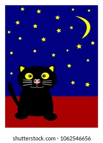black cat in the crescent moon starry night sky