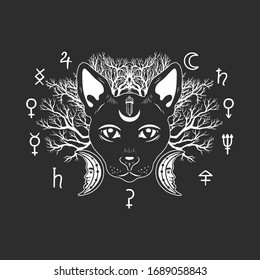 Black cat with crescent on forehead on dark background. Magic cat face decorated with dead branches and occult symbols.