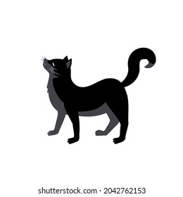 Black cat with curved back and raised tail. Festive animal decoration for Halloween, autumn holiday and design