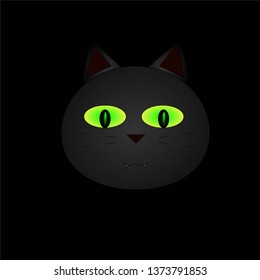 Black cat in a dark room.