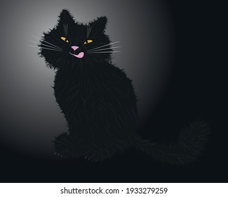Black cat in the dark room