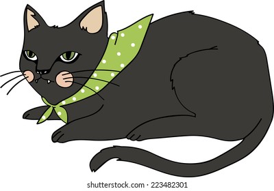 Black cat are delicious