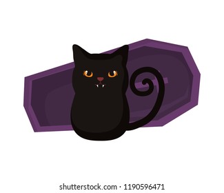 black cat design