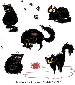 black cat in different poses and different emotions on a white background