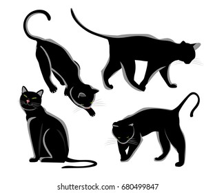 Сute black cat in different poses. Home pet on white isolated background.