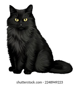 black cat drawn digital painting watercolor illustration