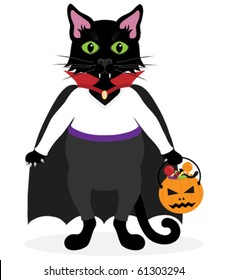 Black cat dressed as a vampire