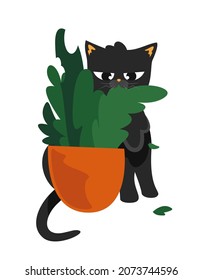 Black cat eating house plant. Pet in cartoon style