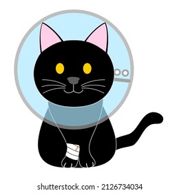 A black cat with elizabethan collar 