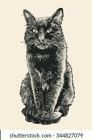 black cat. engraving style. vector illustration.