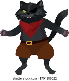 black cat is an evil pirate