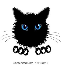 The black cat. Face of a black cat