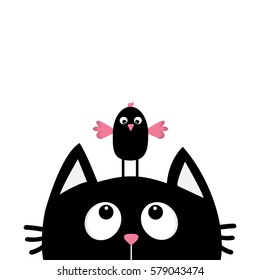 Silueta de cabeza de gato negro mirando al pájaro gracioso. Personaje de dibujos animados. Animal Kawaii. Tarjeta de bebé. 