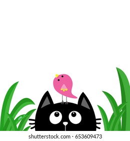 Black cat face head silhouette looking up to bird on head. Green grass dew drop. Cute cartoon character. Kawaii animal. Baby card. Pet collection. Flat design style. White background. Isolated Vector