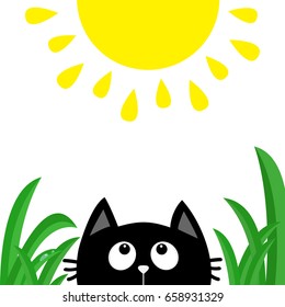 Black cat face head silhouette looking up to shining sun. Green grass dew drop. Cute cartoon character. Kawaii animal. Baby card. Pet collection. Flat design style. White background. Isolated Vector