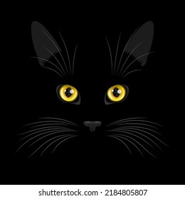 Black cat face with rounded yellow eyes and big vibrissae over black background, funny pet