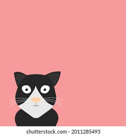 black cat face with white in pink background