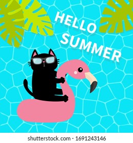 Black cat floating on white flamingo pool float water circle. Swimming pool water. Hello Summer. Top air view. Sunglasses. Lifebuoy. Palm tree leaf. Cute cartoon relaxing character. Flat design Vector