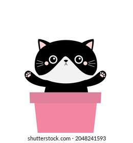 Black cat in flower pot. Paw print hands. Cute cartoon kawaii funny character. Baby pet animal collection. Moustaches. Sticker tshirt print template. Flat design. White background. Vector