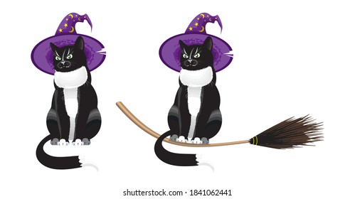 The black cat is flying to the Sabbath. Scary holiday-Halloween. A terrible night of a black cat in a magic hat.