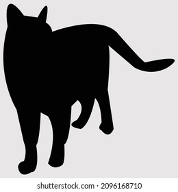  Black cat free download vector