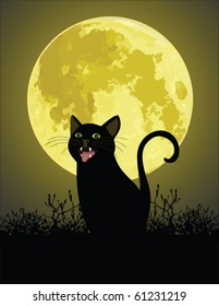 black cat in front of a full moon