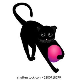 Black cat in full size, playing with a pink ball. Vector illustration, isolated on white background.