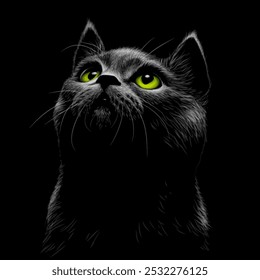 Un gato negro. Retrato gráfico de un gato negro mira hacia arriba sobre un fondo negro.