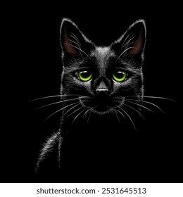 Un gato negro. Retrato gráfico de un gato negro sobre un fondo negro.