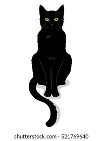 Black cat with green eyes, isolated on white, vector illustration