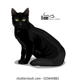 Black cat with green eyes, isolated on white, vector illustration, eps-10