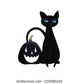 black cat halloween
