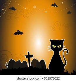 Black cat in the halloween day