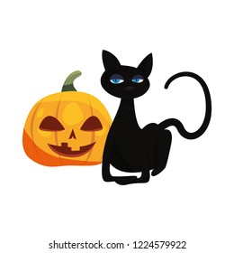 black cat halloween and pumpkin