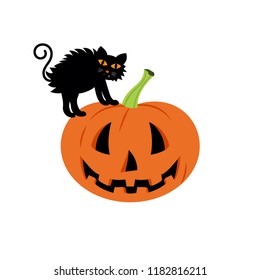 Black cat in a Halloween pumpkin. Background is separate. Happy Halloween Day